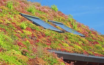 Wrelton living roof systems